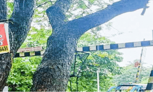 Kottakkadav-Chettipadi route