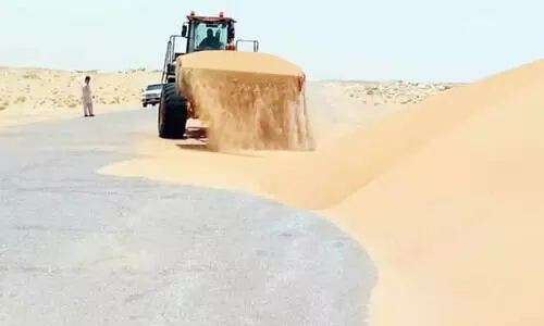 മു​ന്നൊ​രു​ക്ക​ം ന​ട​ത്തി അ​ൽ വു​സ്ത