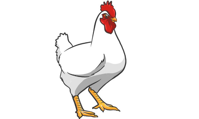 കൊന്നൊടുക്കിയിട്ടും അടങ്ങുന്നില്ല പക്ഷിപ്പനി