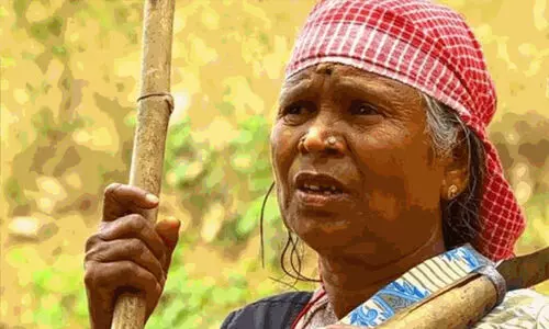 അട്ടപ്പാടിയിലെ ടി.എൽ.എ കേസുള്ള സ്വന്തം മണ്ണിൽ കൃഷിയിറക്കുമെന്ന് ഗായിക നഞ്ചിയമ്മ