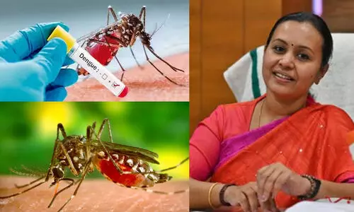 രണ്ടാമതും ഡെങ്കിപ്പനി വന്നാല്‍ സങ്കീര്‍ണമാകും, അതീവ ജാഗ്രത വേണമെന്ന് വീണ ജോര്‍ജ്
