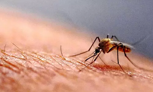 സിക വൈറസ്: സംസ്ഥാനങ്ങൾക്ക് ജാഗ്രത നിർദേശം