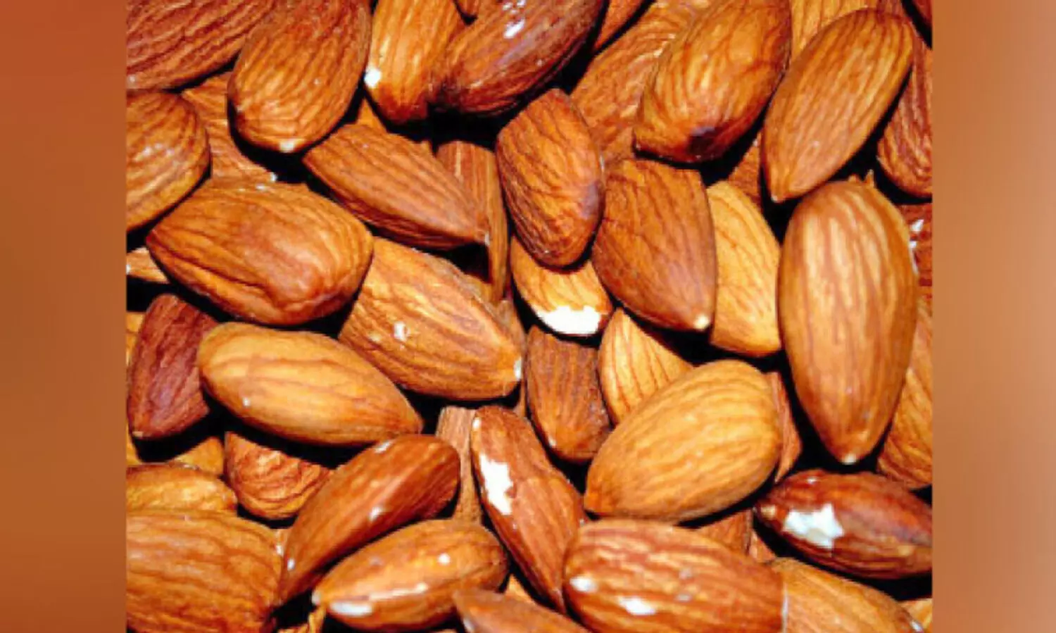 ആ​ൽ​മ​ണ്ട് ഫെ​സ്റ്റി​വ​ൽ വെ​ള്ളി​യാ​ഴ്ച മു​ത​ൽ