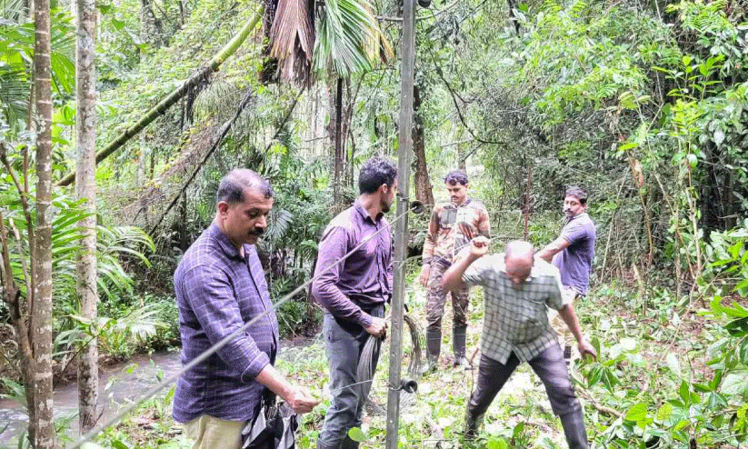 കാട്ടാന ശല്യം: വനംവകുപ്പിന് സഹായമായി ജനങ്ങൾ
