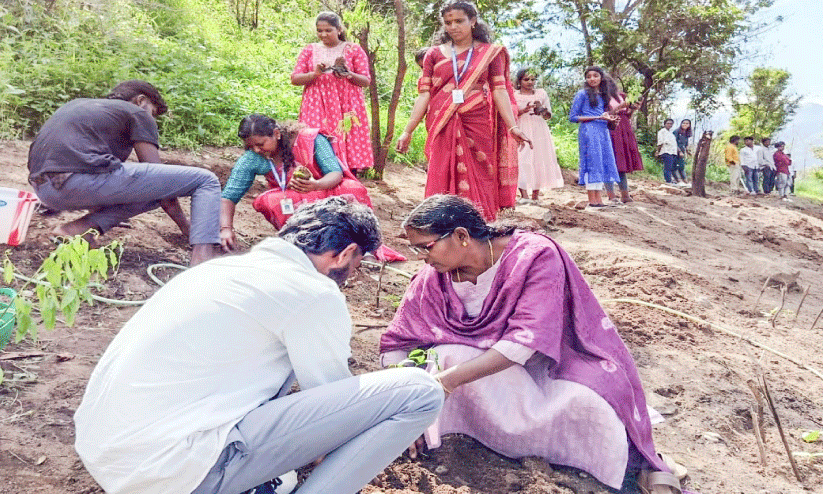 കാമ്പസിൽ ചന്ദനത്തോട്ടം വളർത്താൻ കാന്തല്ലൂർ ഐ.എച്ച്.ആർ.ഡി