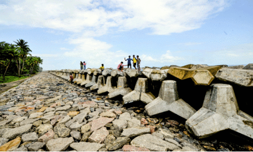 കടൽത്തിരകളെ പിടിച്ചുകെട്ടിയ ചെല്ലാനം ‘മോഡൽ’