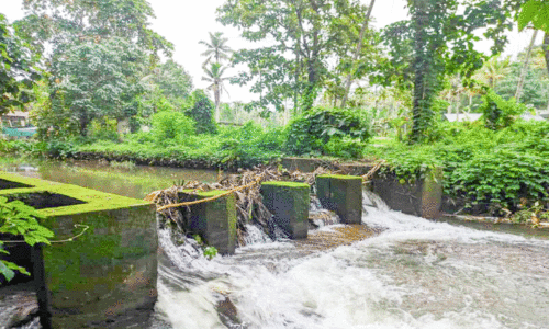 കലക്ടർക്ക് പരാതി നൽകി; നാട്ടുകാർക്ക് തലവേദനയായി തടയണ