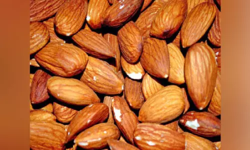 ആ​ൽ​മ​ണ്ട് ഫെ​സ്റ്റി​വ​ൽ വെ​ള്ളി​യാ​ഴ്ച മു​ത​ൽ