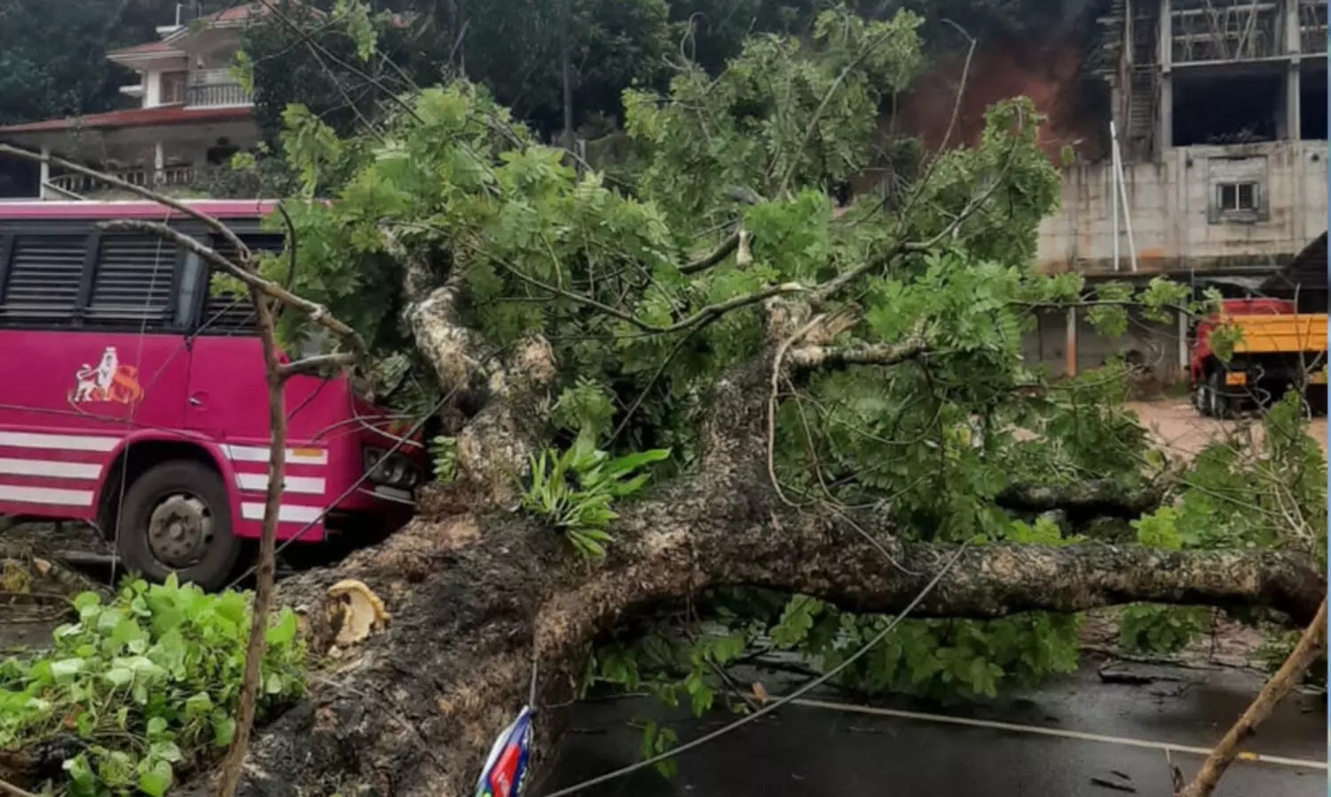 Tree fell on private bus in Adimali