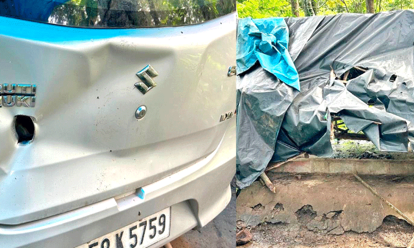 ഭീകരാന്തരീക്ഷം സൃഷ്ടിച്ച് കാട്ടാന വീട്ടുമുറ്റത്ത് ഭീകരാന്തരീക്ഷം സൃഷ്ടിച്ച് കാട്ടാന വീട്ടുമുറ്റത്ത്