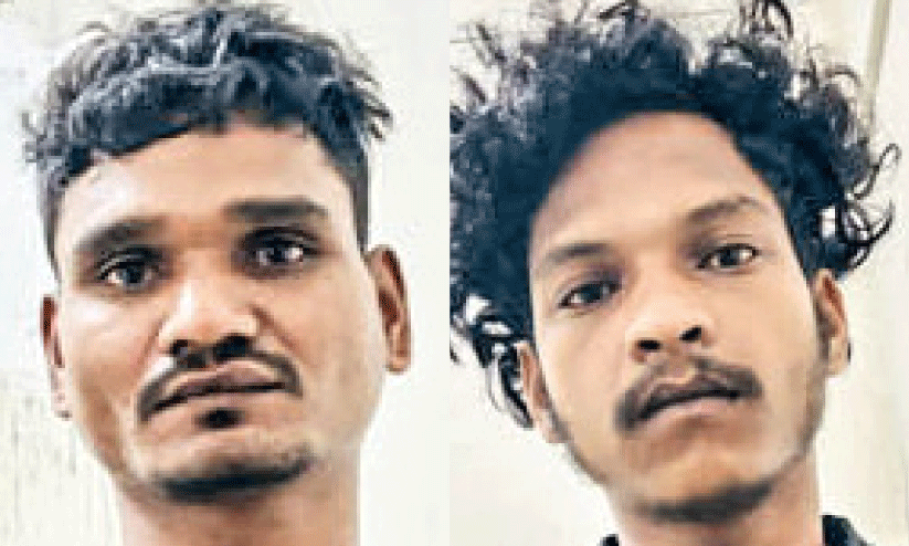 ആഷിഷ് ഡിഗൾ ബുൾസൺ ഡിഗൽ ആഷിഷ് ഡിഗൾ ബുൾസൺ ഡിഗൽ