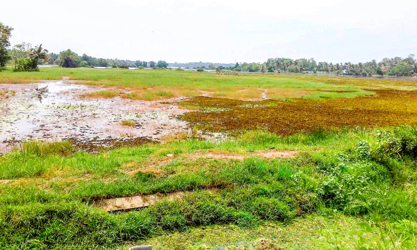 Floating solar project Floating solar project
