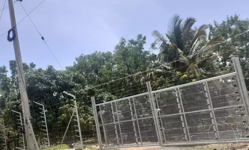 ഭൂമി കൈയേറ്റം: അട്ടപ്പാടി ആദിവാസി മേഖലകളിൽ മനുഷ്യാവകാശ സംഘം സന്ദർശനം നടത്തി