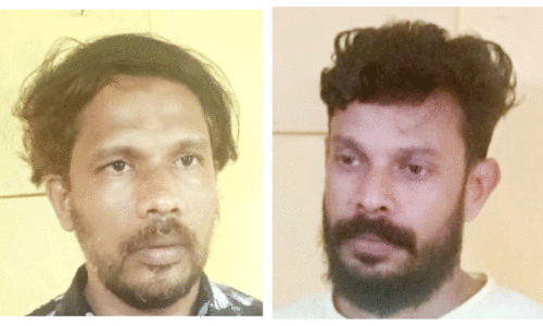 വ​യ​നാ​ട്ടി​ല്‍ വീ​ണ്ടും വ​ന്‍ ല​ഹ​രിവേ​ട്ട