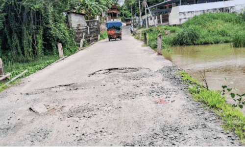 ആ​ല​മ്പ​ള്ളം ച​പ്പാ​ത്ത്
