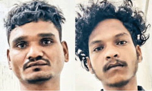 ആ​ഷി​ഷ് ഡി​ഗ​ൾ  ബു​ൾ​സ​ൺ ഡി​ഗ​ൽ