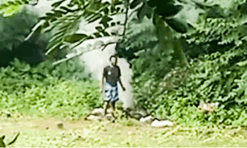 മ​ത്സ്യ മാ​ർ​ക്ക​റ്റി​ൽ മാ​ലി​ന്യം ക​ത്തി​ക്കു​ന്നു