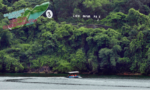 Safari Park Safari Park