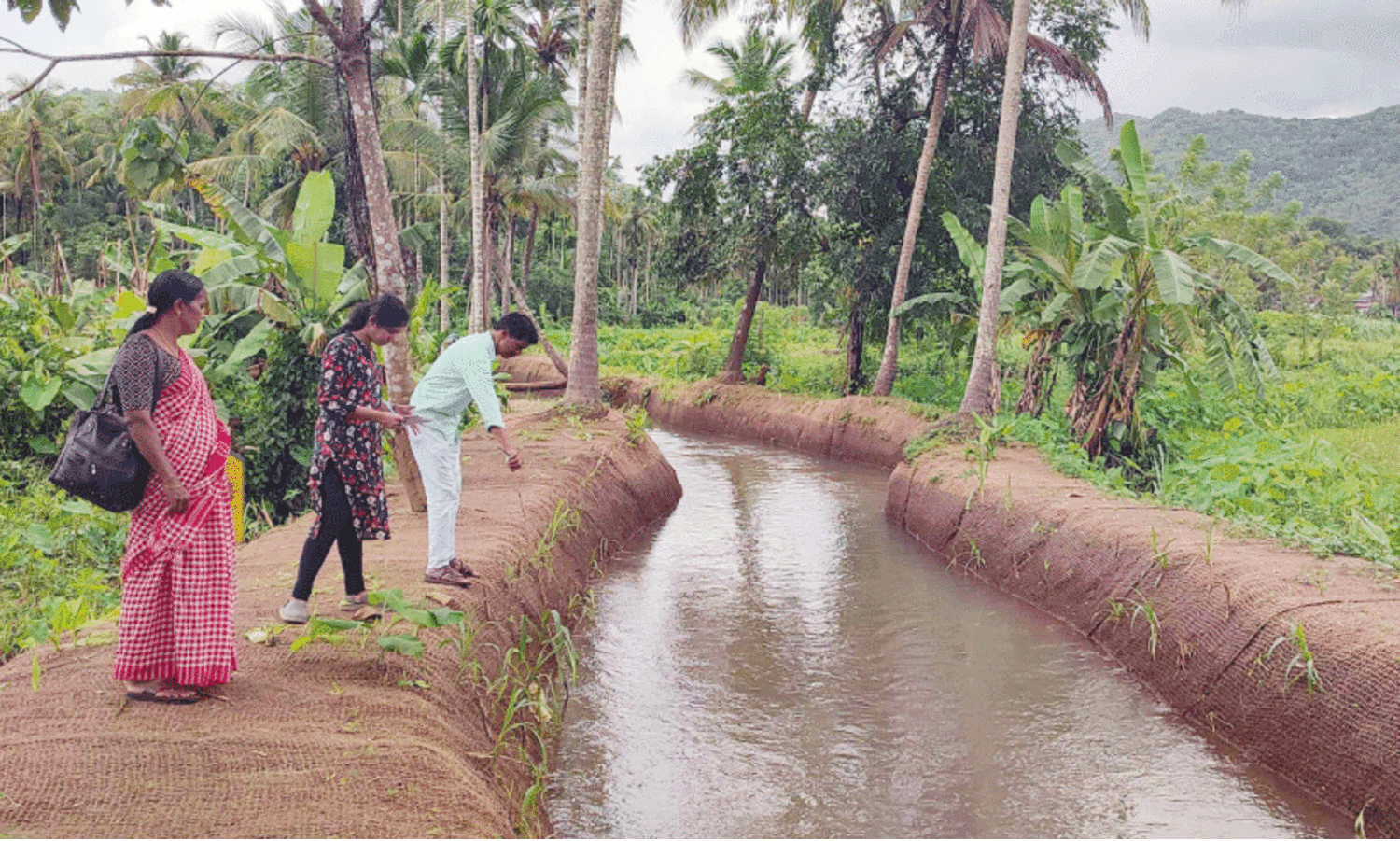 ഗുണ്ണിക-കടുക്കാപ്പാലം തോട് ബലപ്പെടുത്താൻ ജലസേചന വകുപ്പ്