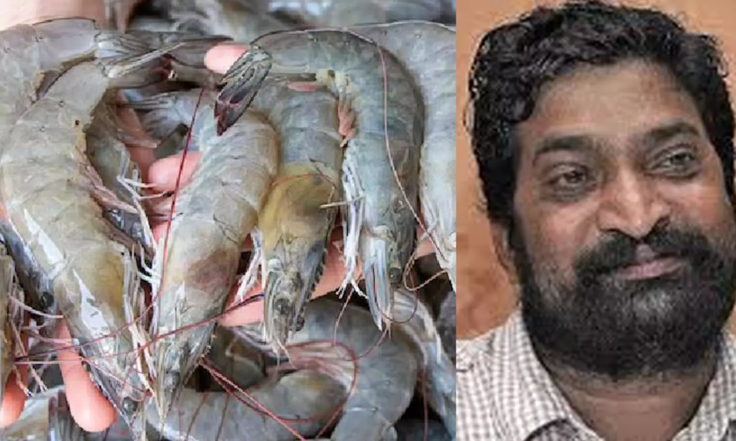 കടലാമ നിയന്ത്രണം : ഇന്ത്യൻ കയറ്റുമതിക്കുള്ള ഭീഷണിപരിഹരിക്കണമെന്ന് ചാൾസ് ജോർജ്