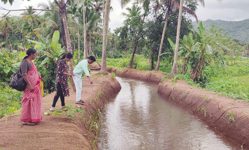 ഗുണ്ണിക-കടുക്കാപ്പാലം തോട് ബലപ്പെടുത്താൻ ജലസേചന വകുപ്പ് ഗുണ്ണിക-കടുക്കാപ്പാലം തോട് ബലപ്പെടുത്താൻ ജലസേചന വകുപ്പ്