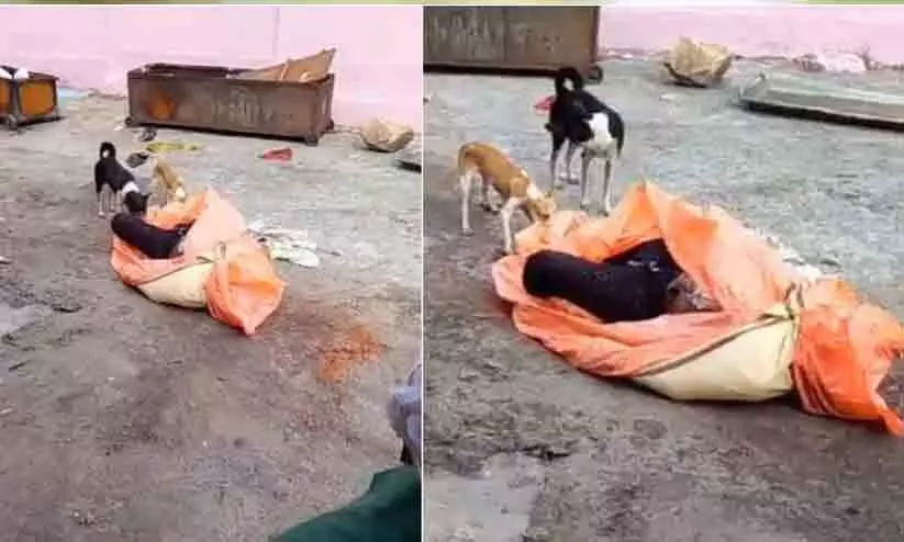 പോസ്റ്റ്മോർട്ടം ടേബിളിലെ മൃതദേഹങ്ങൾ കടിച്ചു കീറി തിന്നുന്ന തെരുവു നായ്ക്കൾ; യു.പിയിൽ നിന്നുള്ള നടുക്കുന്ന ദൃശ്യം പങ്കുവെച്ച് എക്സ് യൂസർ