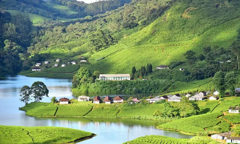 മൂന്നാറിൽ സ്പെഷ്യൽ ഓഫീസറെ നിയമിക്കണമെന്ന ഹൈകോടതി ഉത്തരവ് പരിശോധനയിൽ