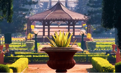 flower festival flower festival