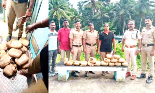 13.5 kg of ganja was seized from the train 13.5 kg of ganja was seized from the train