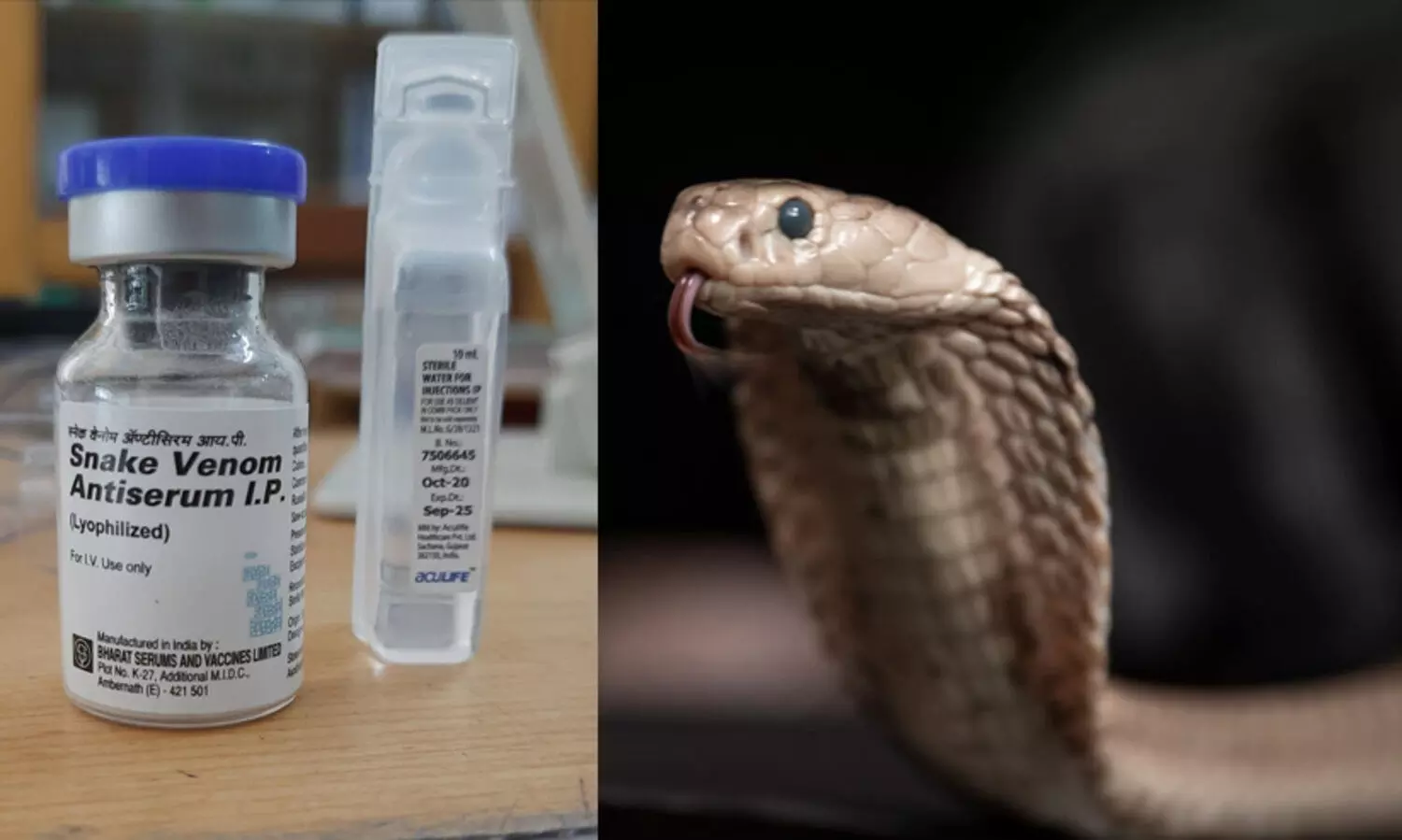 പാമ്പു കടിയേറ്റവർക്ക് ഉടൻ ചികിത്സ: ആന്റിവെനം നല്‍കുന്ന ആശുപത്രികളുടെ പേരുകള്‍ പ്രസിദ്ധീകരിക്കാൻ മന്ത്രിയുടെ നിർദേശം