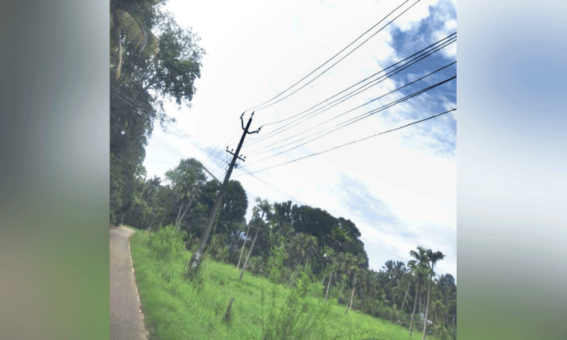 വൈദ്യുതി ലൈനുകൾ പുനഃക്രമീകരിക്കാൻ ഫണ്ട് അനുവദിക്കണമെന്ന ആവശ്യം ശക്തം