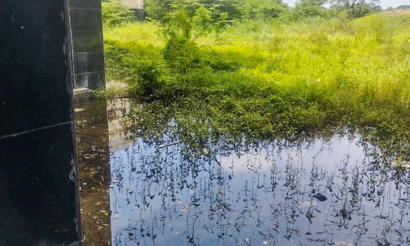 palakkad govt medical college palakkad govt medical college