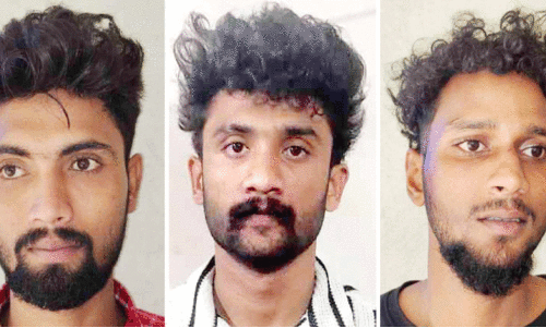 ജില്ലയിൽ വീണ്ടും വൻ ലഹരിവേട്ട