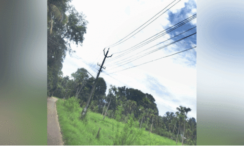 വൈദ്യുതി ലൈനുകൾ പുനഃക്രമീകരിക്കാൻ ഫണ്ട് അനുവദിക്കണമെന്ന ആവശ്യം ശക്തം വൈദ്യുതി ലൈനുകൾ പുനഃക്രമീകരിക്കാൻ ഫണ്ട് അനുവദിക്കണമെന്ന ആവശ്യം ശക്തം