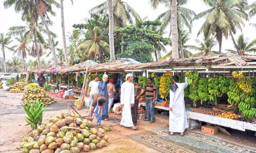 ഖ​രീ​ഫ് സീസൺ: ഒ​മാ​നി​ക​ള​ല്ലാ​ത്ത​വ​ർ​ക്ക് താ​ൽ​ക്കാ​ലി​ക വ​ർ​ക്ക് പെ​ർ​മി​റ്റ് അ​നു​വ​ദി​ക്കും