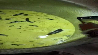 കറിയിൽ നീന്തിതുടിച്ച് എലി; അടുക്കളയിലെ വിഡിയോ പങ്കുവെച്ച് ജെ.എൻ.ടി.യു വിദ്യാർഥികൾ -വിഡിയോ