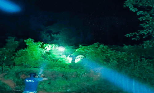 Wild elephant attack