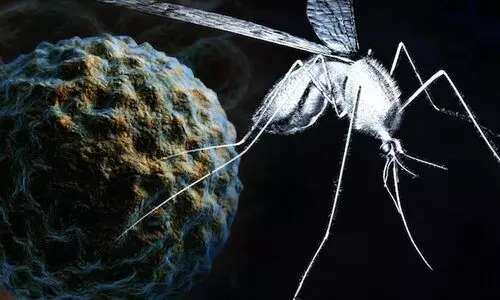 കോഴിക്കോട് വെസ്റ്റ്നെയിൽ മരണം സ്ഥിരീകരിച്ചു