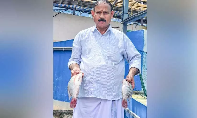 fish farming fish farming