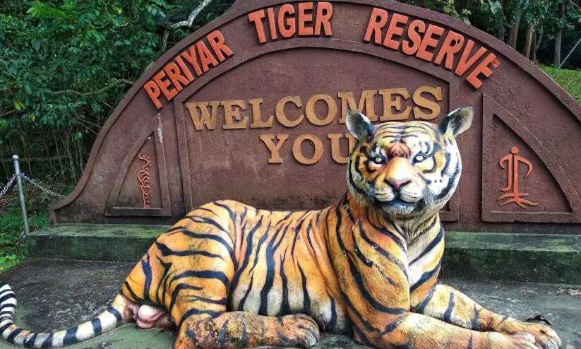 Thekkady Tiger Sanctuary