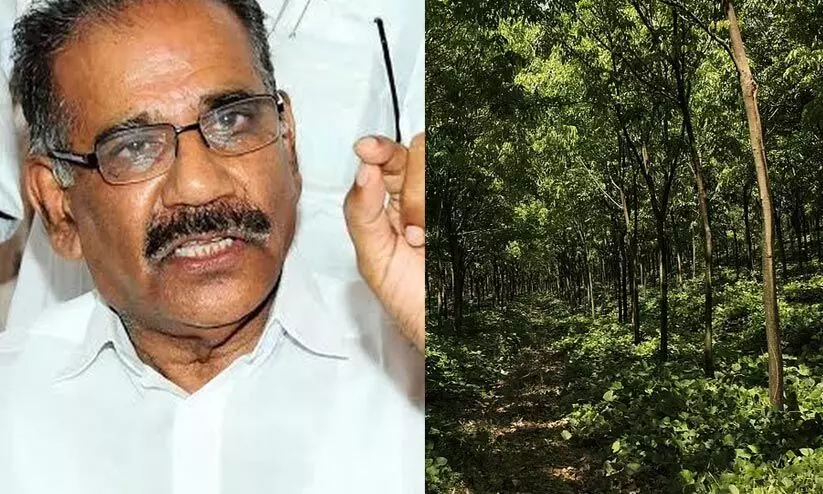 27,000 ഹെക്ടറിലെ ഏകവിള തോട്ടങ്ങൾ 20 വർഷംകൊണ്ട് ഒഴിവാക്കും 27,000 ഹെക്ടറിലെ ഏകവിള തോട്ടങ്ങൾ 20 വർഷംകൊണ്ട് ഒഴിവാക്കും