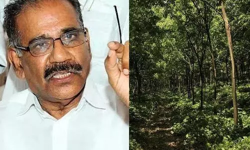 27,000 ഹെക്ടറിലെ ഏകവിള തോട്ടങ്ങൾ 20 വർഷംകൊണ്ട് ഒഴിവാക്കും 27,000 ഹെക്ടറിലെ ഏകവിള തോട്ടങ്ങൾ 20 വർഷംകൊണ്ട് ഒഴിവാക്കും