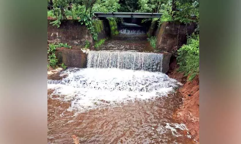 palakkad news palakkad news