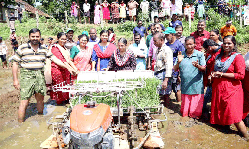 തരിശുപാടത്ത് ഞാറ്റുപാട്ടുയർന്നു; ഇനി പൊന്നിൻ കതിർക്കുല കൊയ്യും തരിശുപാടത്ത് ഞാറ്റുപാട്ടുയർന്നു; ഇനി പൊന്നിൻ കതിർക്കുല കൊയ്യും