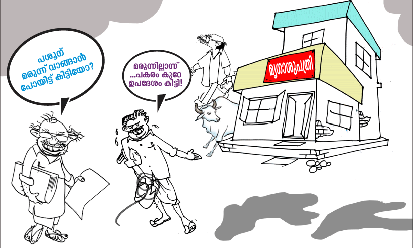 മൃഗാശുപത്രികളില്‍ മരുന്നില്ല; ക്ഷീരകര്‍ഷകർ നെട്ടോട്ടത്തിൽ