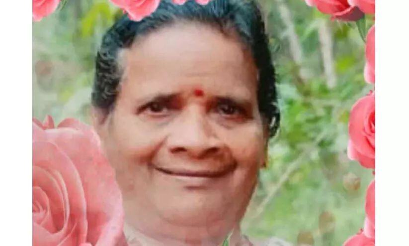 കിടപ്പുരോഗിയായ വയോധിക തലക്കടിയേറ്റ് മരിച്ചു; ഭർത്താവ് അറസ്റ്റിൽ