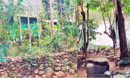 kashmir dweep kashmir dweep