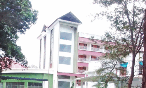 Sultan Bathery Guest House