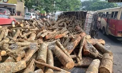 Timber Lorry Overturned