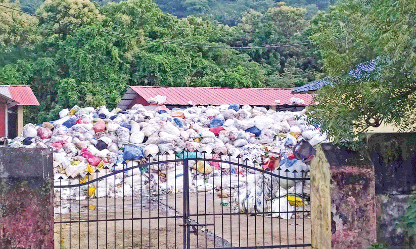 waste plant waste plant